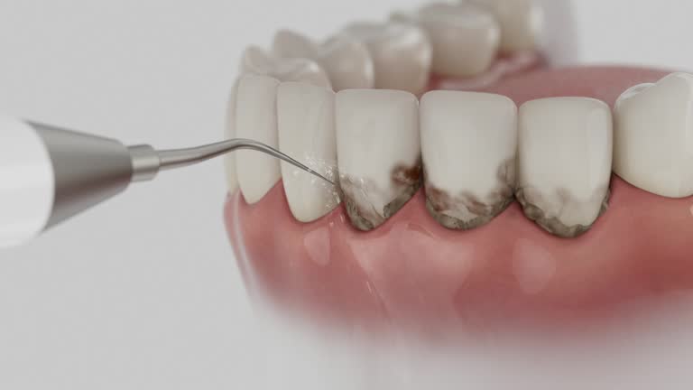 Reliable Dental contractor in Warrensburg, IL by Dentist Open Now